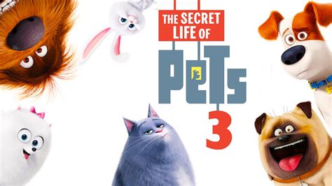 Pets on a Train 2025
